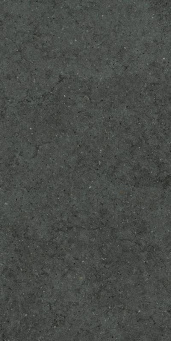 Форум Стоун Петрол 60x120