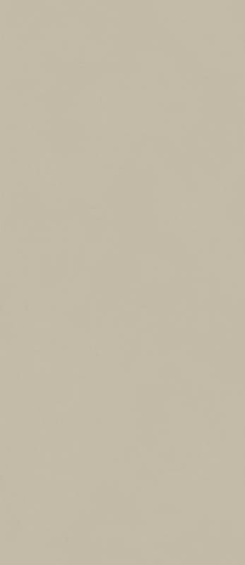 Форум Слим Дезерт 120x278